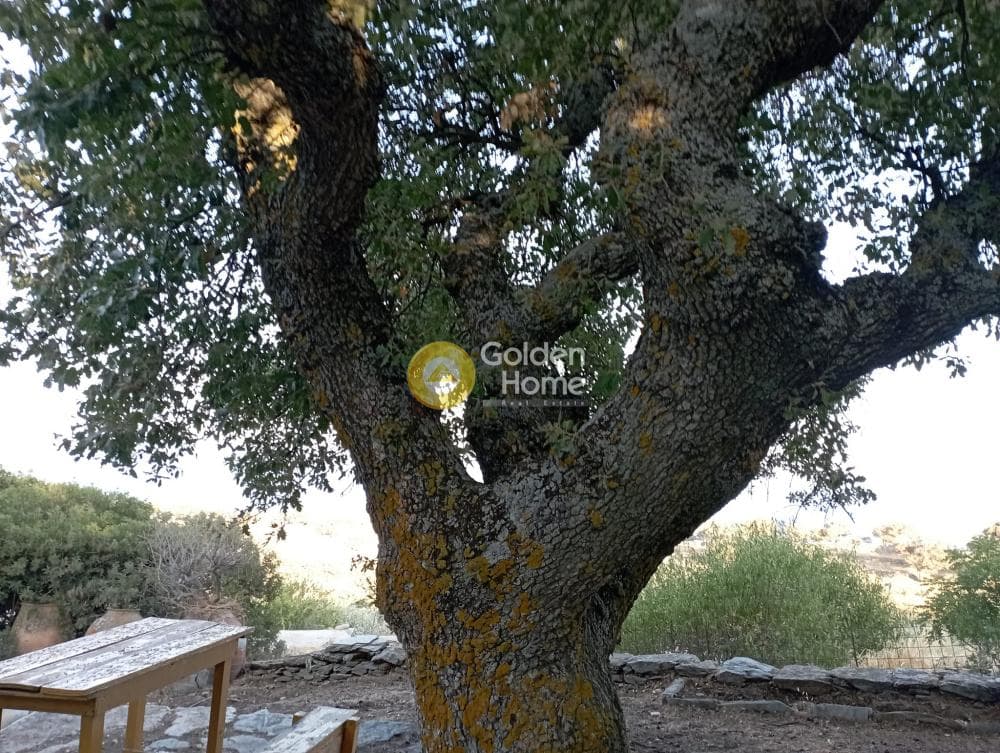 House in Pera Meria, Kea — Photo 43 of 50