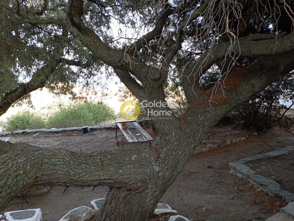 House in Pera Meria, Kea — Photo 44 of 50