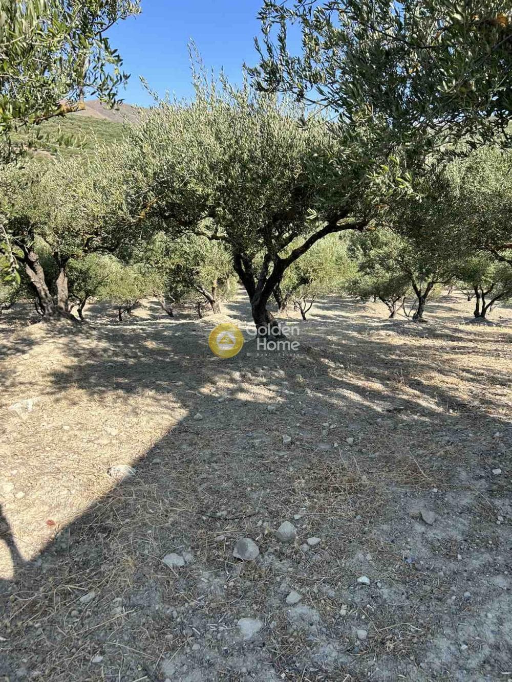 Parcel in Amourgelles, Arkalochori — Photo 5 of 5