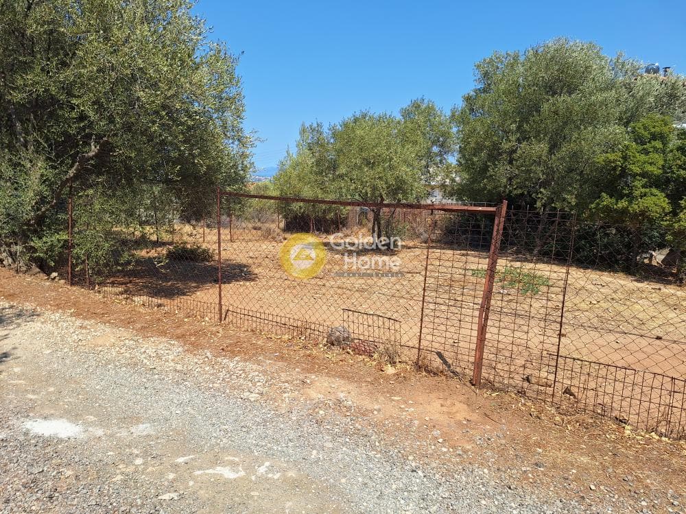 Αγροτεμάχιο στην Μουσείο Βορρέ, Παιανία — Φωτογραφία 1 από 5