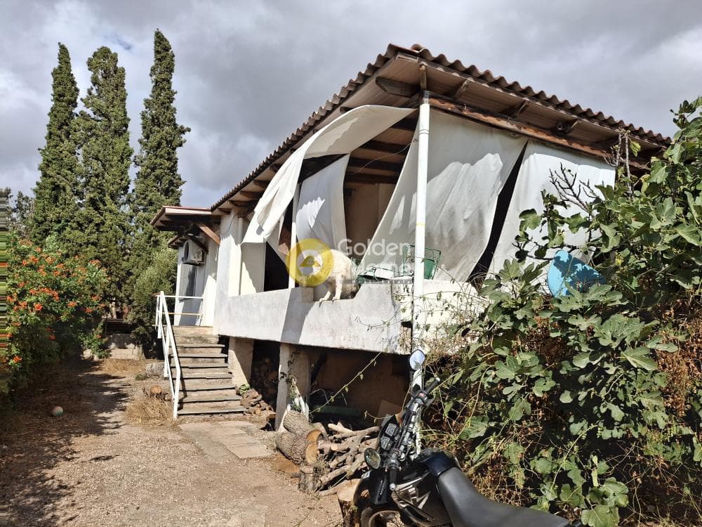 House in Thimari, Palaia Fokaia — Photo 4 of 16