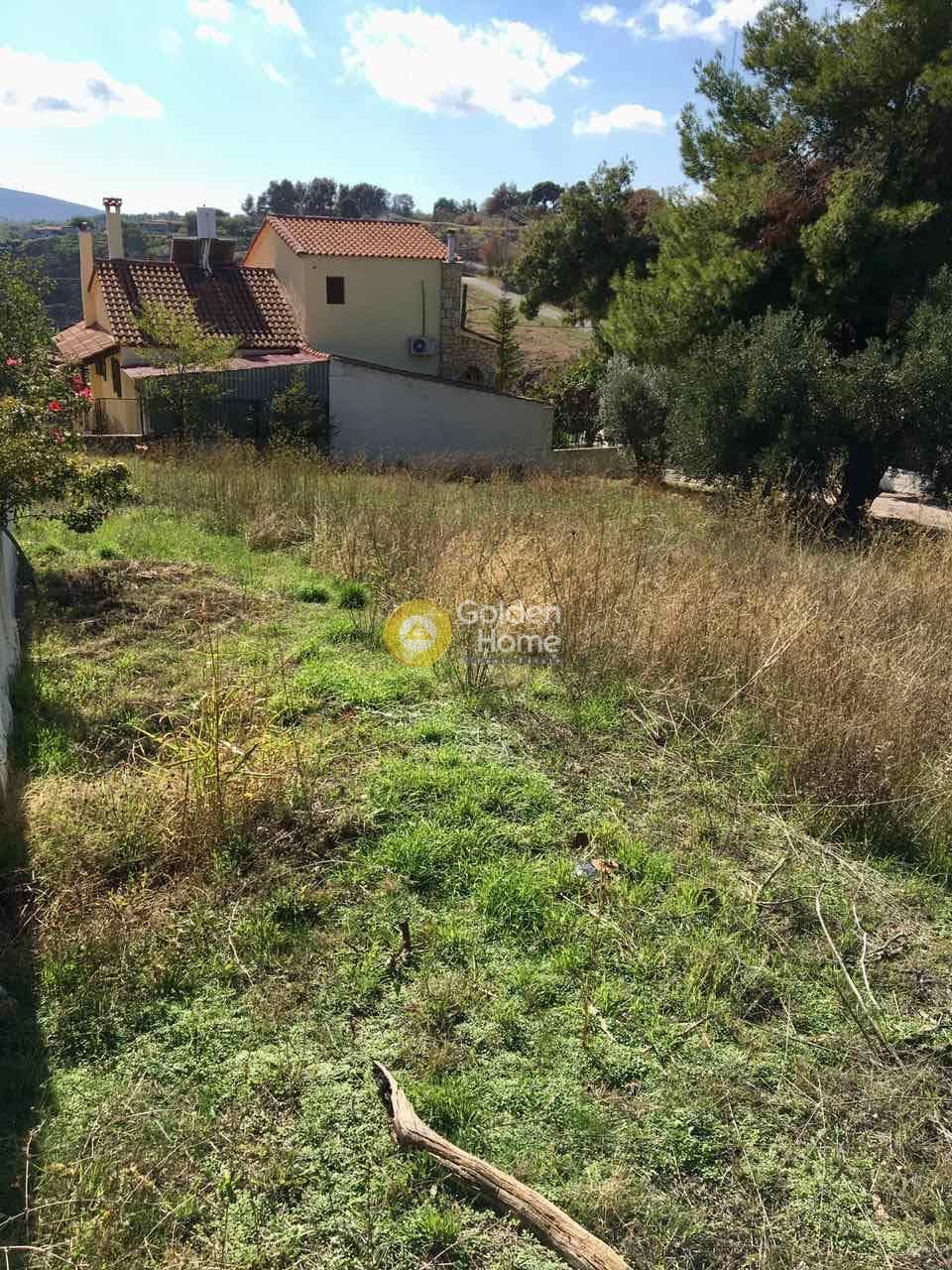 Parcel in Center, Agios Stefanos — Photo 3 of 8