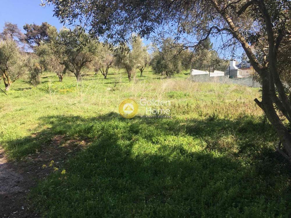 Parcel in Center, Agios Stefanos — Photo 4 of 8