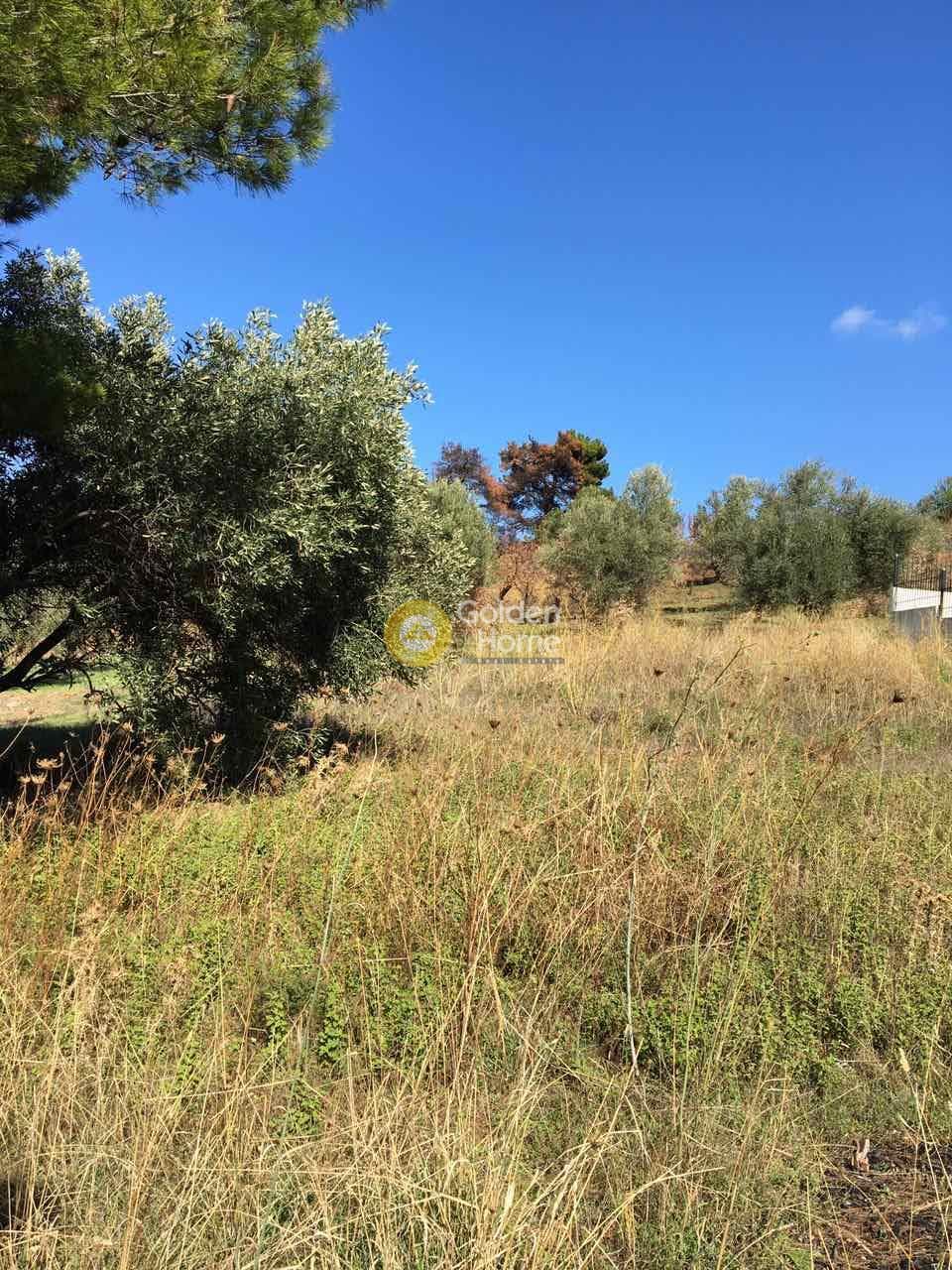 Parcel in Center, Agios Stefanos — Photo 5 of 8
