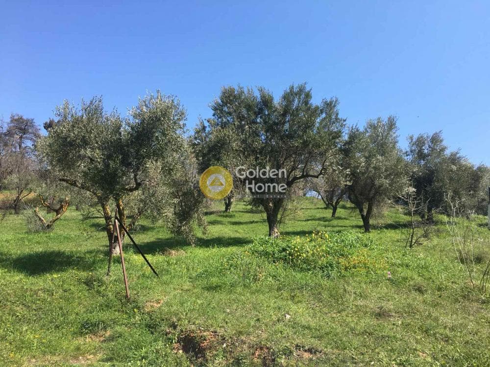 Parcel in Center, Agios Stefanos — Photo 7 of 8
