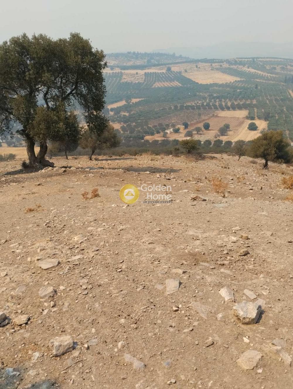 Οικόπεδο στην Καμηλάρι, Τυμπάκι — Φωτογραφία 4 από 11