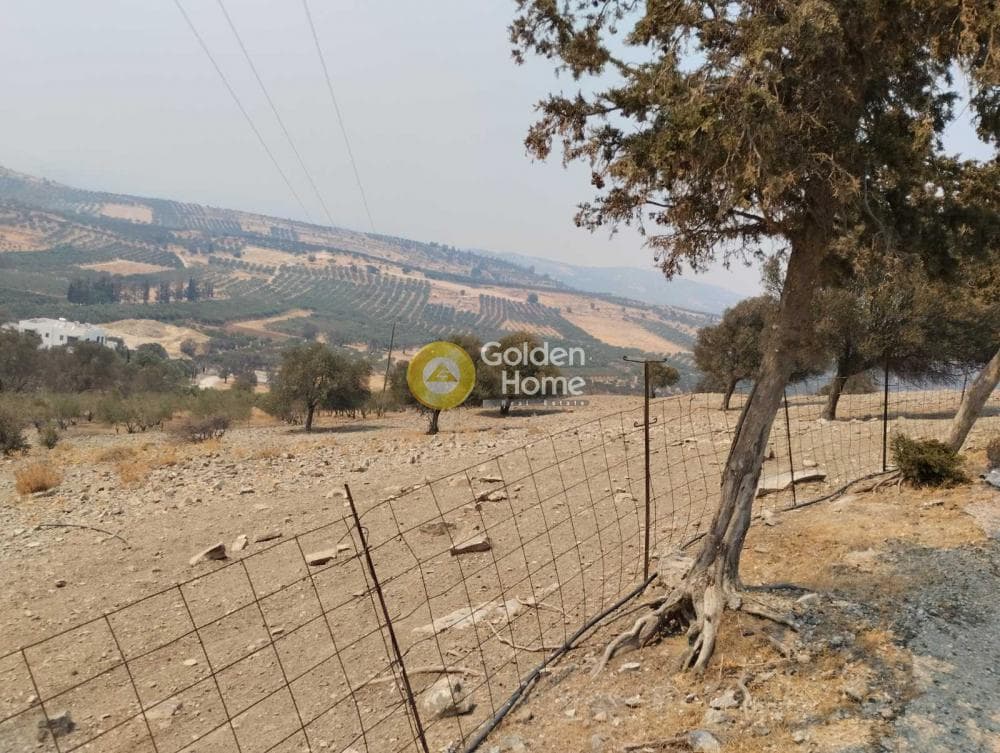 Οικόπεδο στην Καμηλάρι, Τυμπάκι — Φωτογραφία 6 από 11