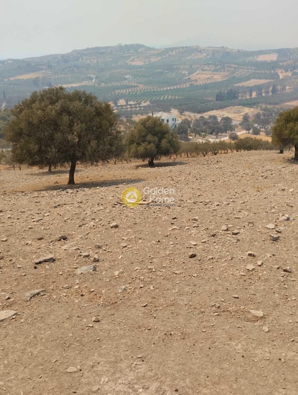 Οικόπεδο στην Καμηλάρι, Τυμπάκι — Φωτογραφία 11 από 11