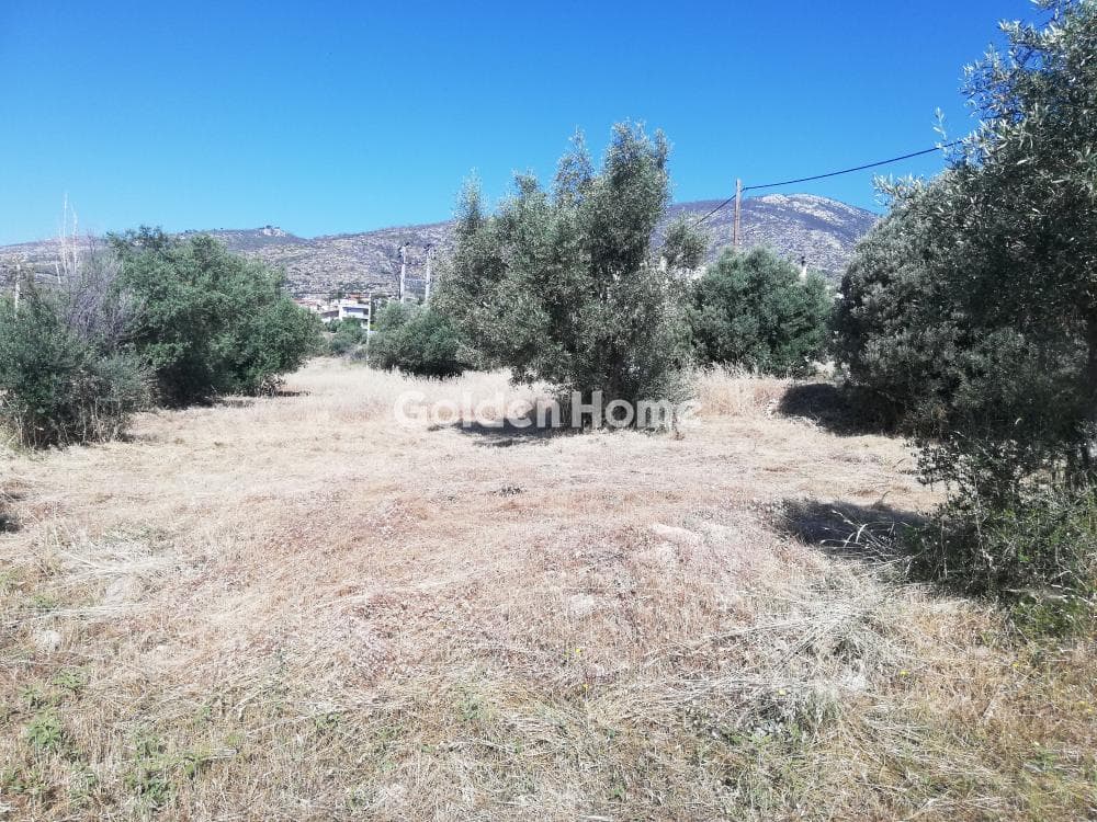 Οικόπεδο στην Μεγάλα Σχοινία Α, Αχαρνές — Φωτογραφία 2 από 10