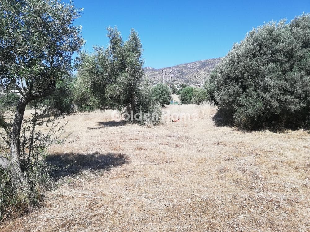 Οικόπεδο στην Μεγάλα Σχοινία Α, Αχαρνές — Φωτογραφία 4 από 10