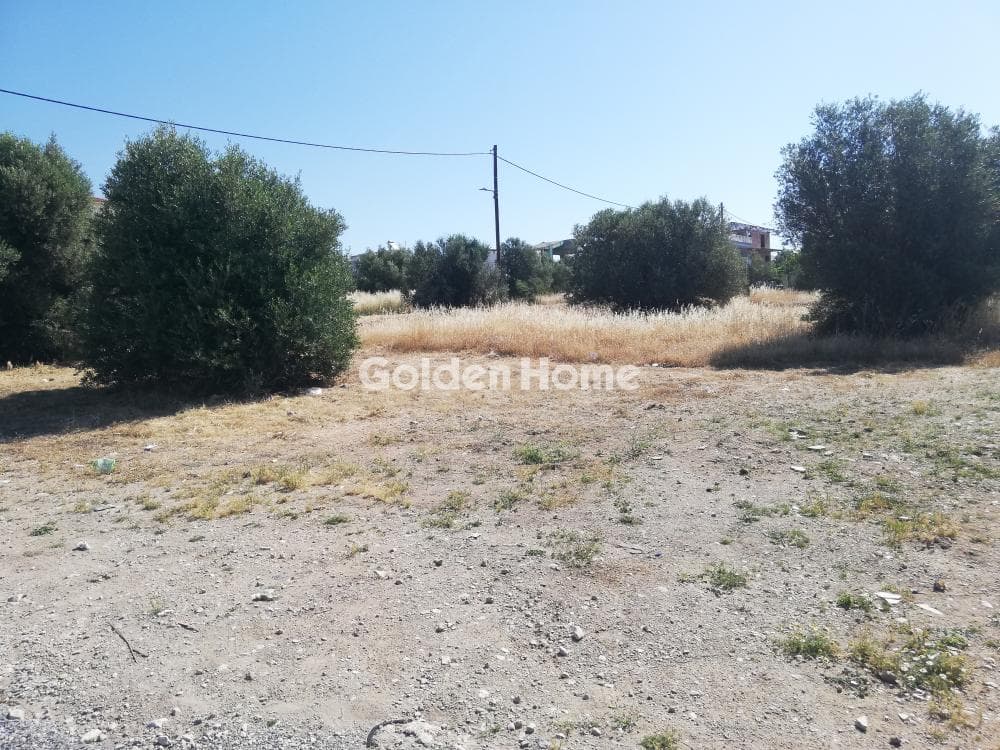 Οικόπεδο στην Μεγάλα Σχοινία Α, Αχαρνές — Φωτογραφία 5 από 10