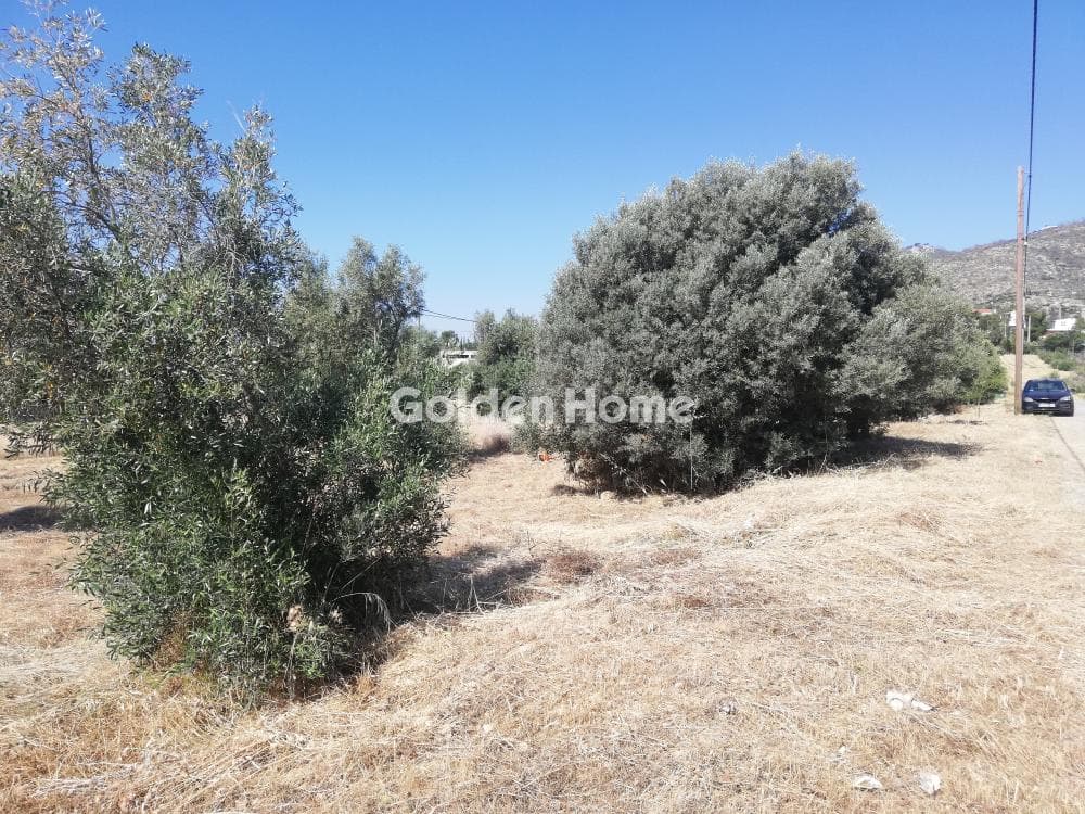 Οικόπεδο στην Μεγάλα Σχοινία Α, Αχαρνές — Φωτογραφία 7 από 10
