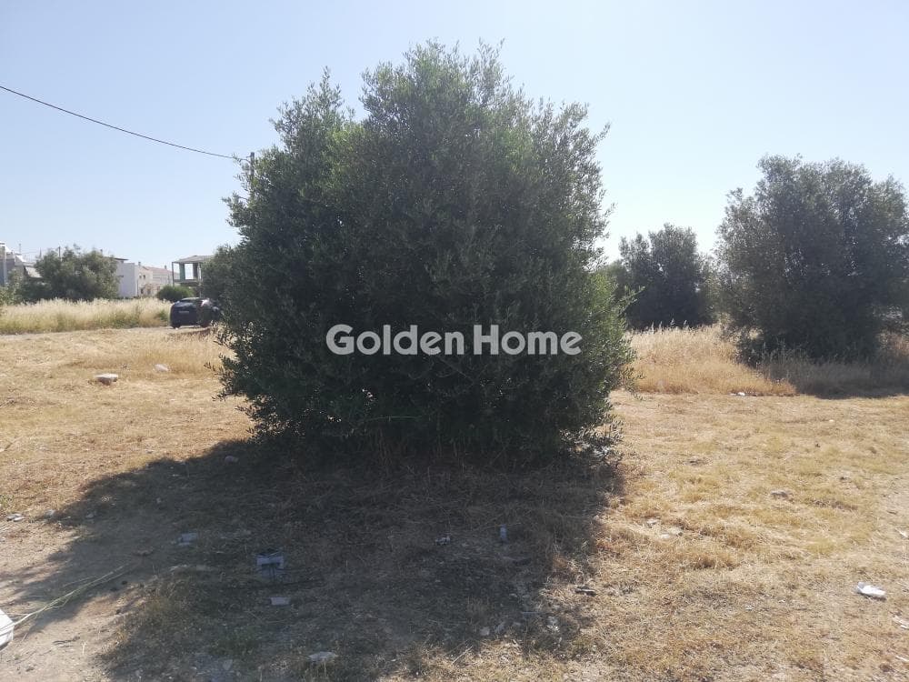 Οικόπεδο στην Μεγάλα Σχοινία Α, Αχαρνές — Φωτογραφία 8 από 10