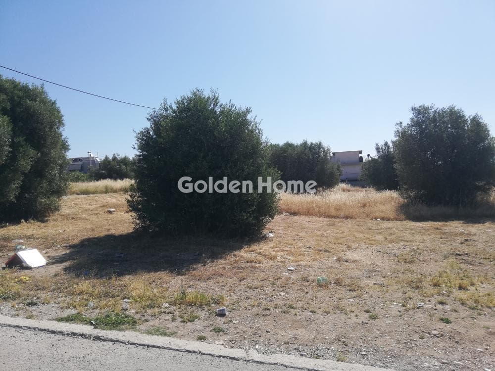 Οικόπεδο στην Μεγάλα Σχοινία Α, Αχαρνές — Φωτογραφία 9 από 10