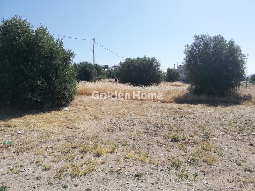 Οικόπεδο στην Μεγάλα Σχοινία Α, Αχαρνές — Φωτογραφία 10 από 10