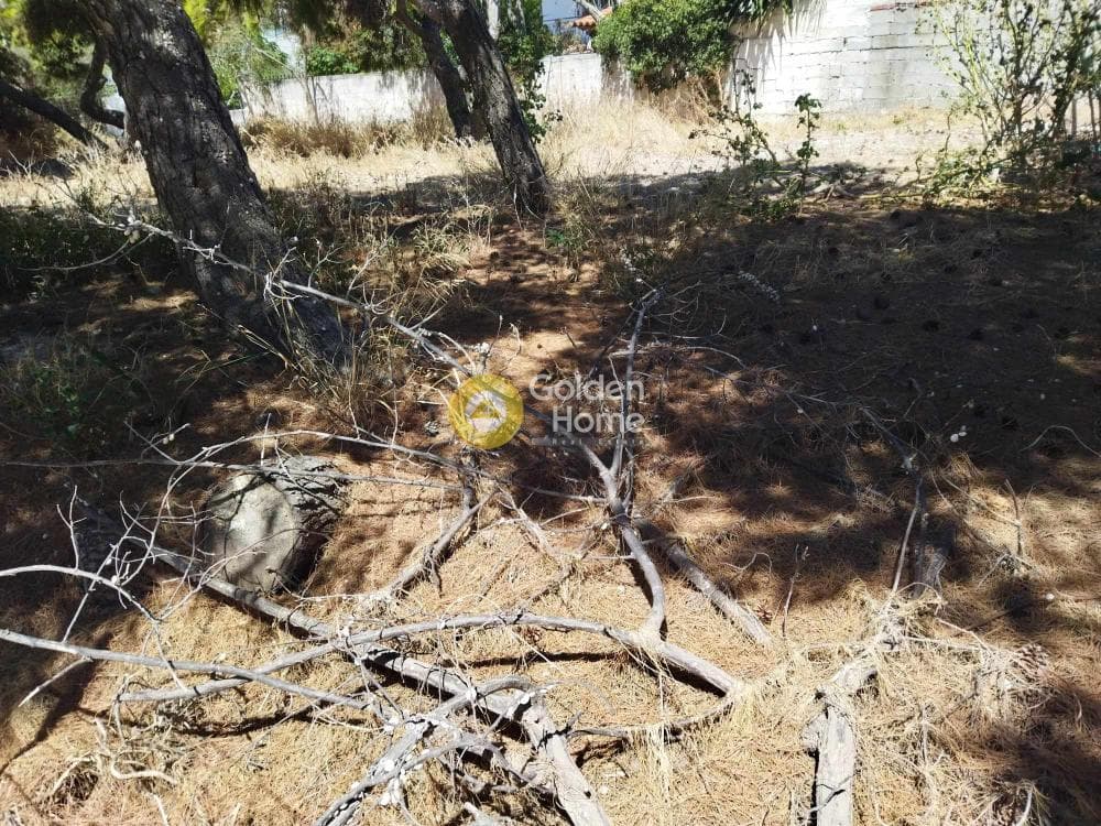 Οικόπεδο στην Κέντρο, Αρτέμιδα (Λούτσα) — Φωτογραφία 2 από 2