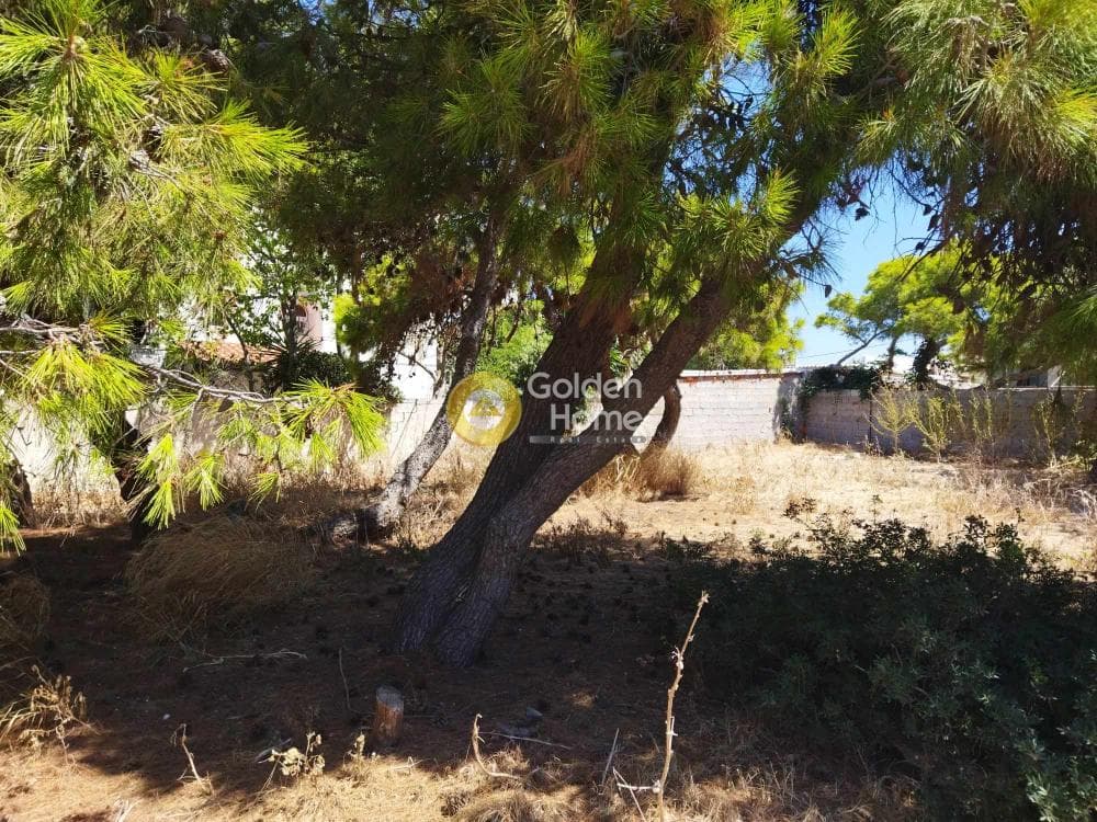 Οικόπεδο στην Κέντρο, Αρτέμιδα (Λούτσα) — Φωτογραφία 1 από 2