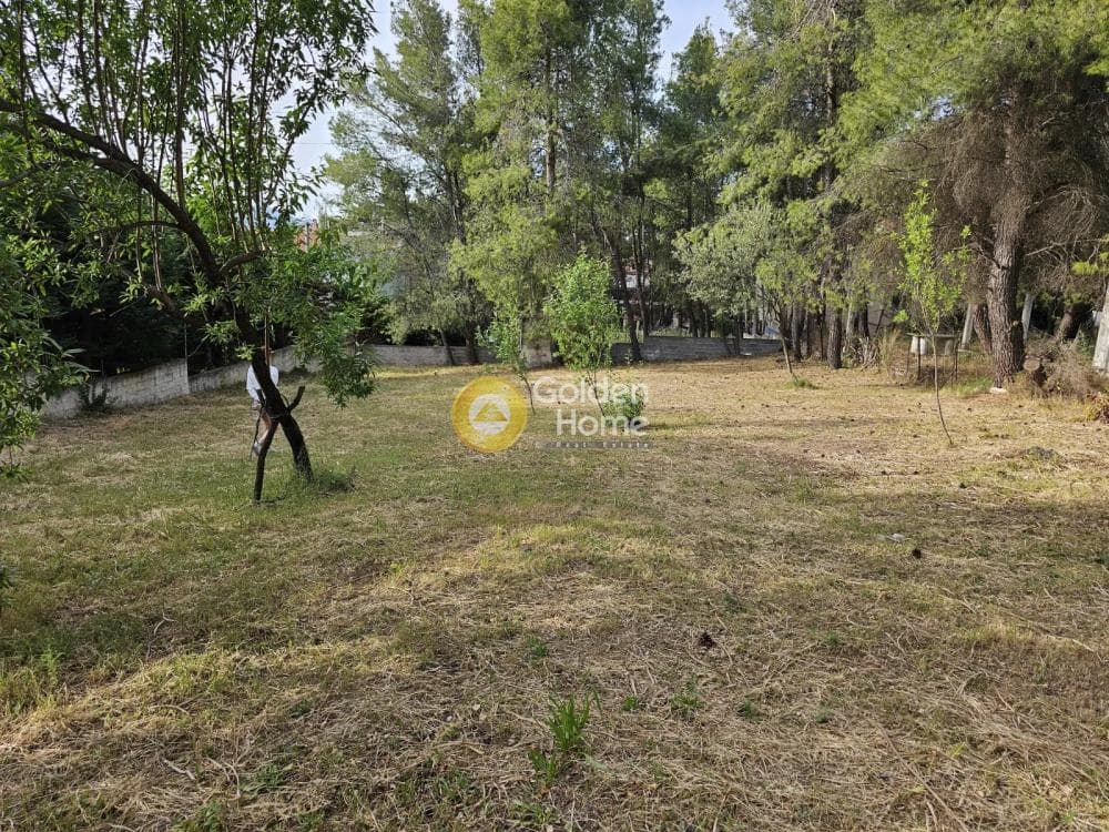 Building Plot in Agia Paraksevi, Anoixi