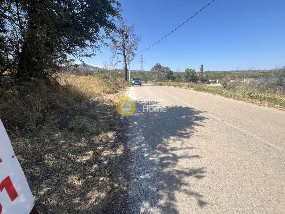 Αγροτεμάχιο στην Αδάμες (Οικισμός Πελοποννησίων), Κηφισιά — Φωτογραφία 6 από 7