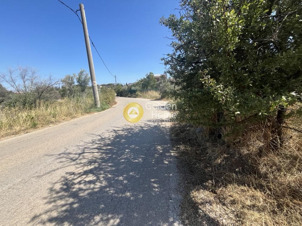 Αγροτεμάχιο στην Αδάμες (Οικισμός Πελοποννησίων), Κηφισιά — Φωτογραφία 7 από 7