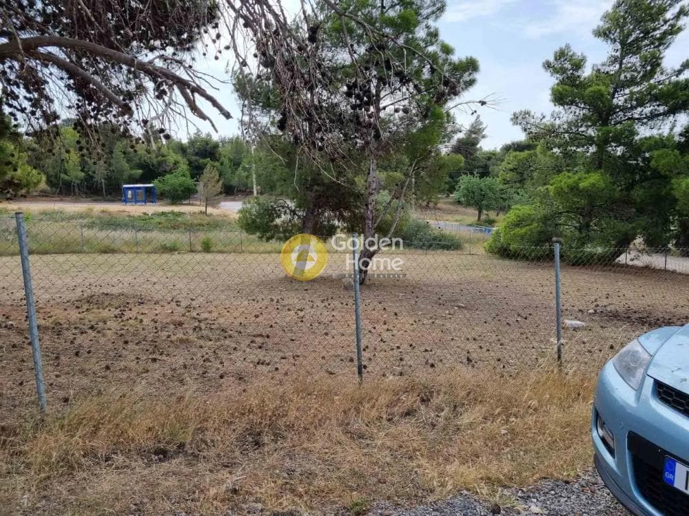 Οικόπεδο στην Διώνη, Πικέρμι — Φωτογραφία 1 από 3