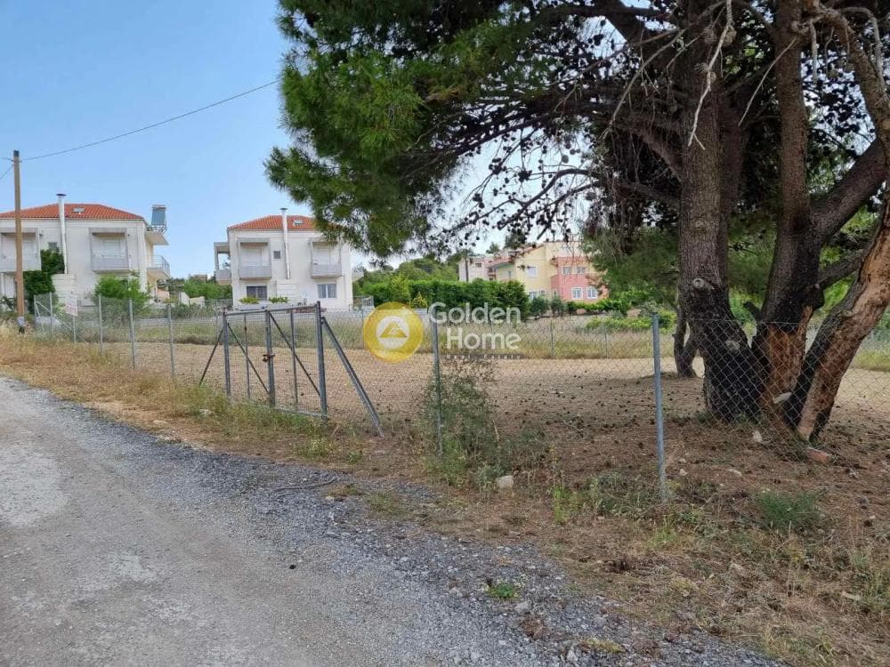 Οικόπεδο στην Διώνη, Πικέρμι — Φωτογραφία 3 από 3