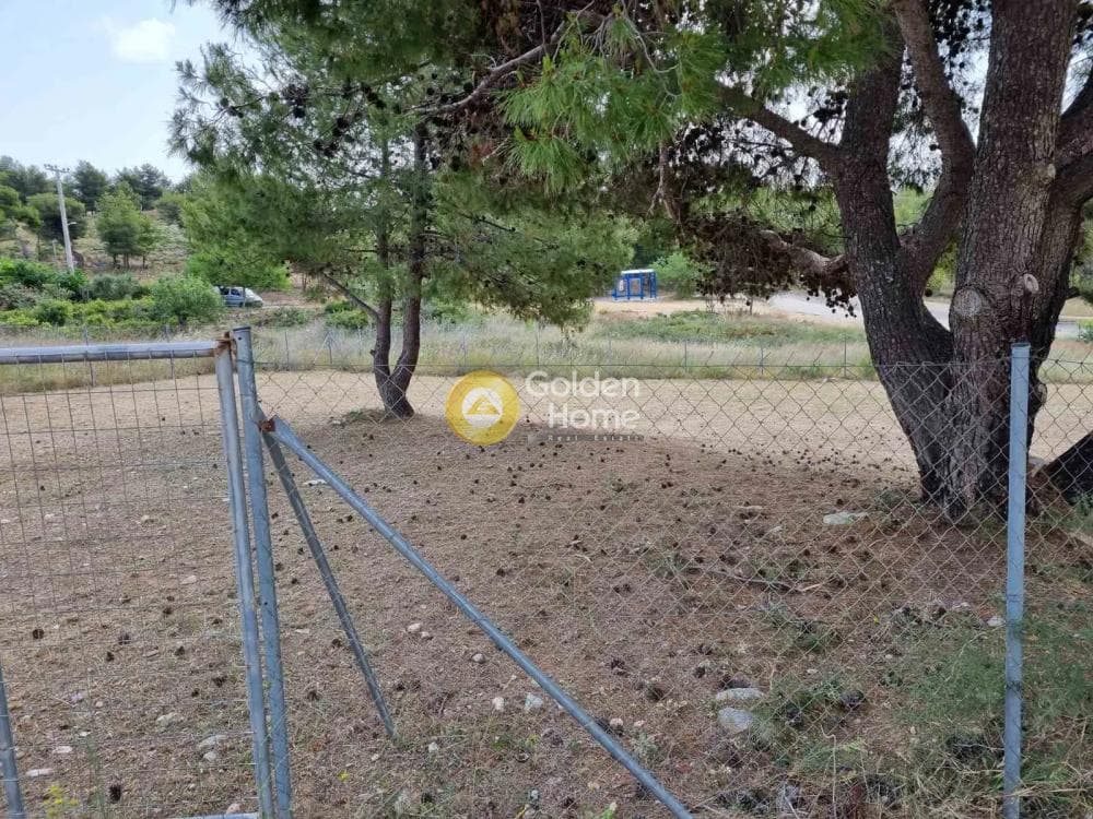 Οικόπεδο στην Διώνη, Πικέρμι — Φωτογραφία 2 από 3