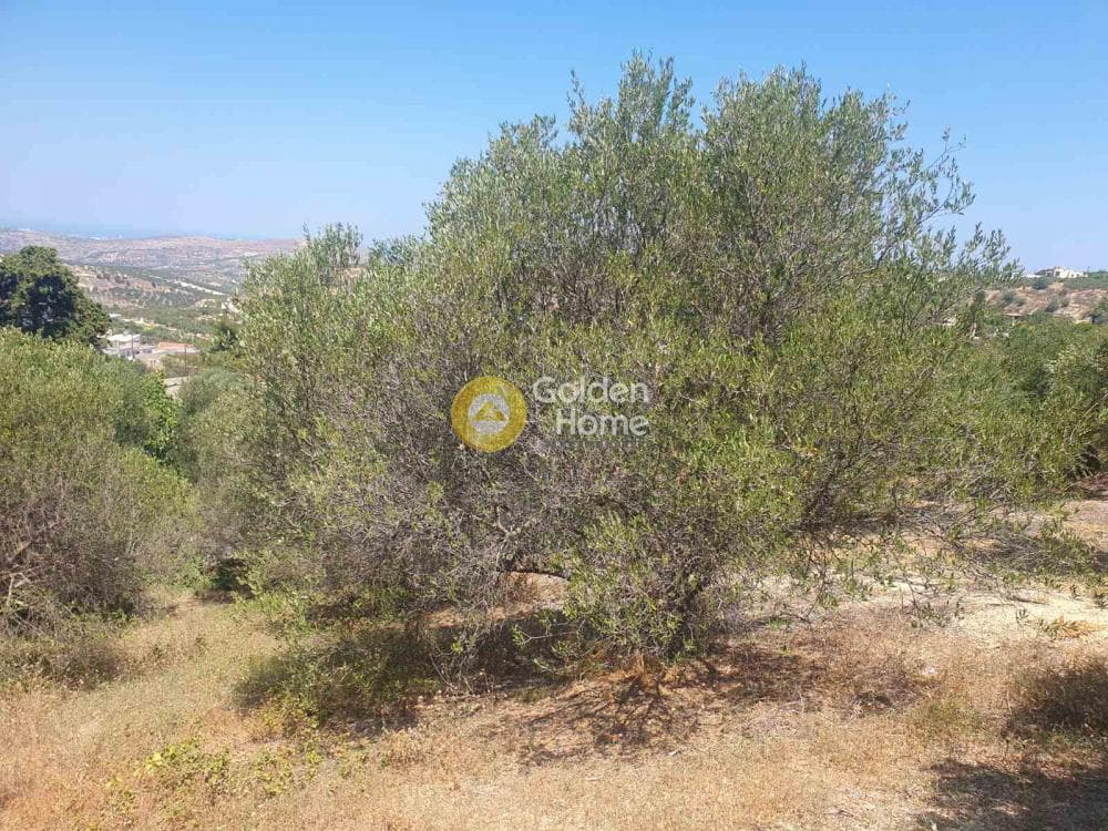 Building Plot in Stamnoi, Episkopi — Photo 6 of 13