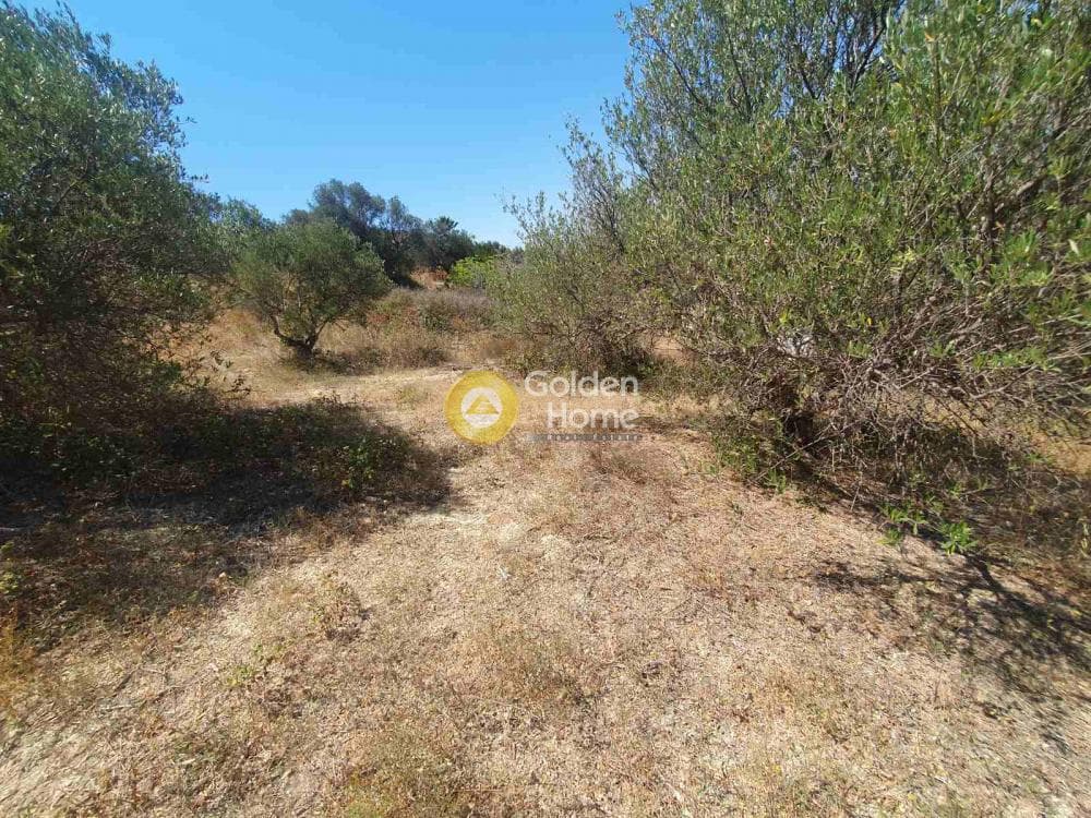 Building Plot in Stamnoi, Episkopi — Photo 7 of 13