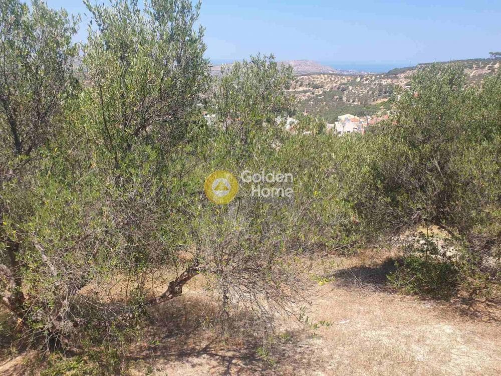 Building Plot in Stamnoi, Episkopi — Photo 11 of 13
