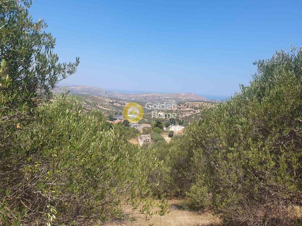 Building Plot in Stamnoi, Episkopi — Photo 13 of 13
