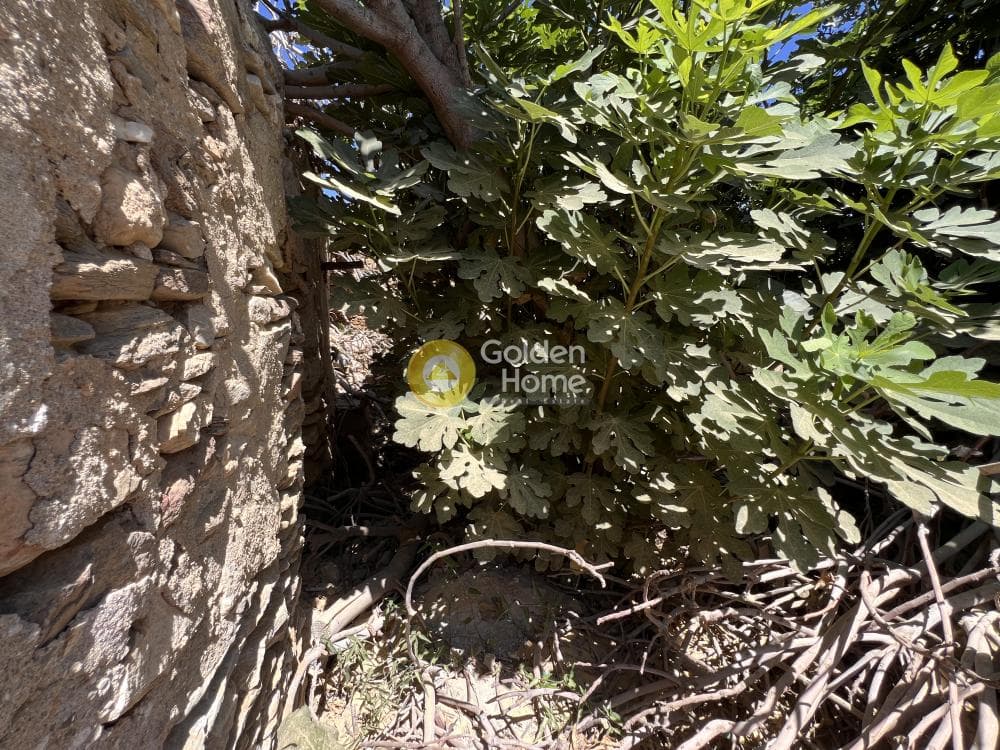 Building Plot in Marmara, Paros — Photo 3 of 3