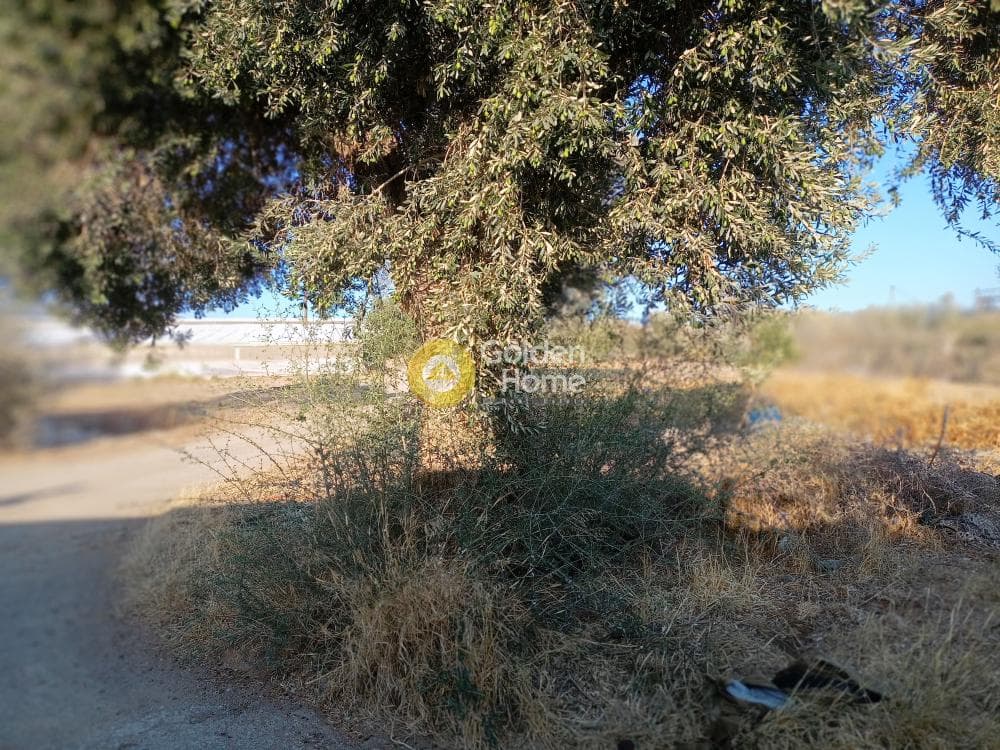 Αγροτεμάχιο στην Κόκκινος Πύργος, Τυμπάκι
