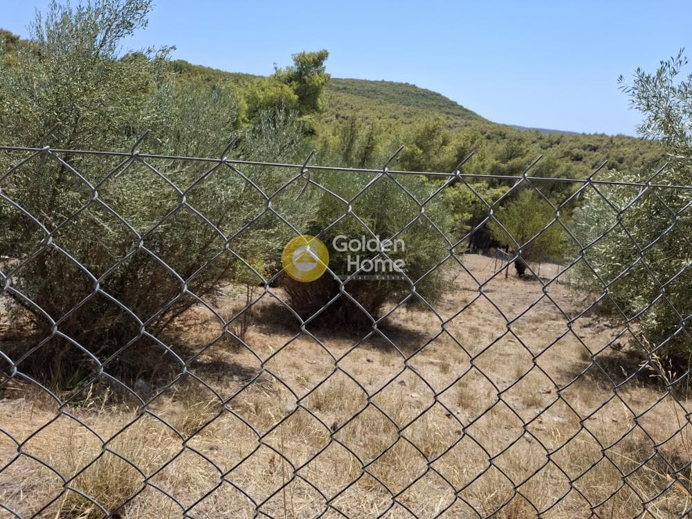Οικόπεδο στην Καμάριζα, Λαύριο — Φωτογραφία 1 από 5