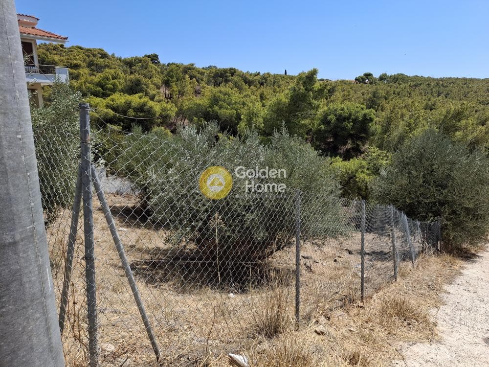 Οικόπεδο στην Καμάριζα, Λαύριο — Φωτογραφία 2 από 5