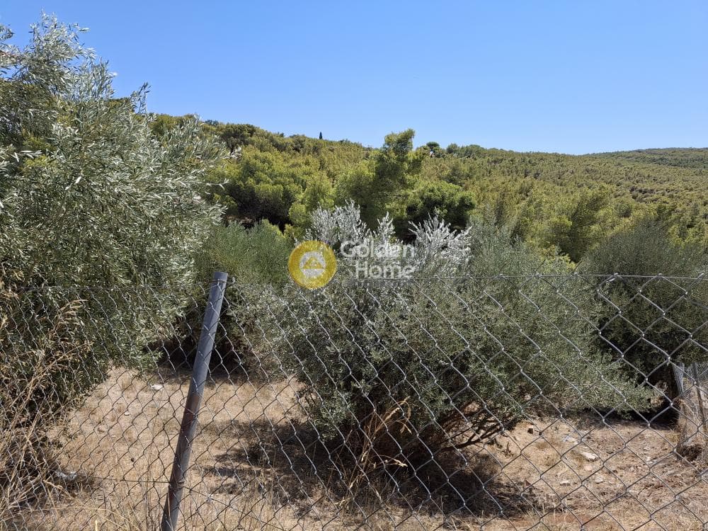 Οικόπεδο στην Καμάριζα, Λαύριο — Φωτογραφία 3 από 5