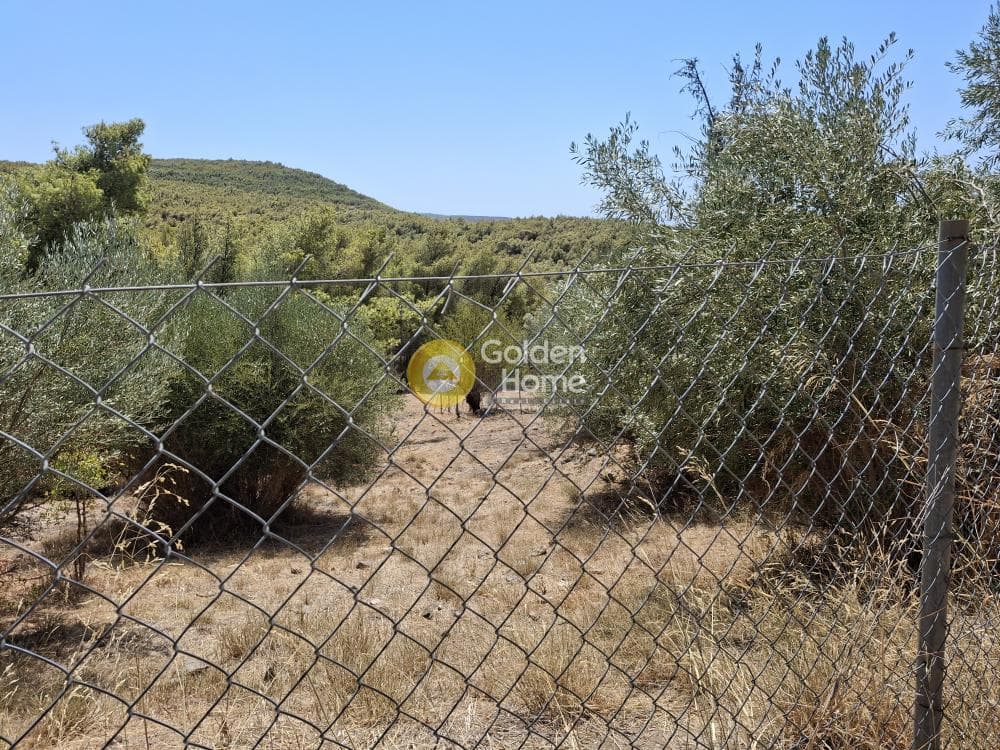 Οικόπεδο στην Καμάριζα, Λαύριο — Φωτογραφία 4 από 5