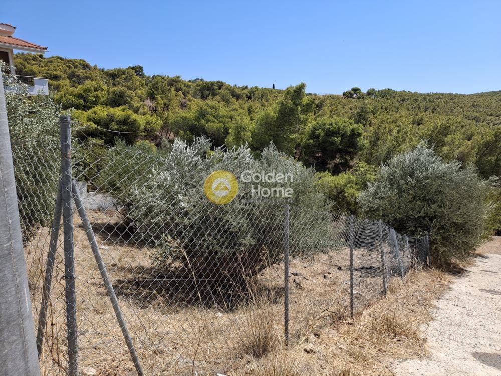 Οικόπεδο στην Καμάριζα, Λαύριο — Φωτογραφία 5 από 5
