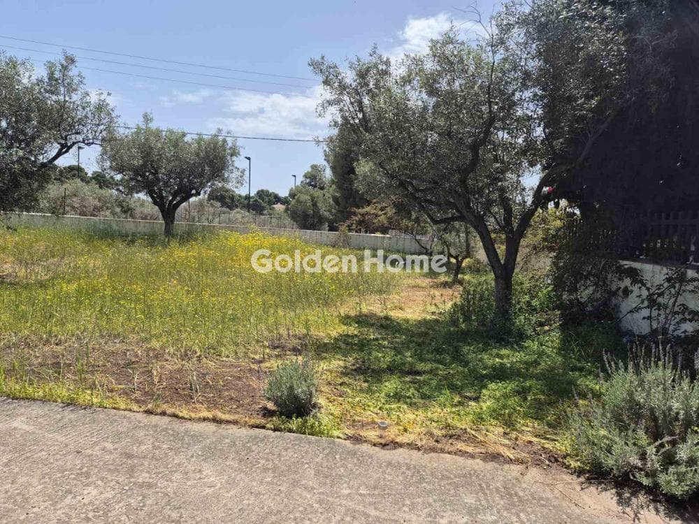Building Plot in Moni Agion Panton, Spetses — Photo 5 of 27