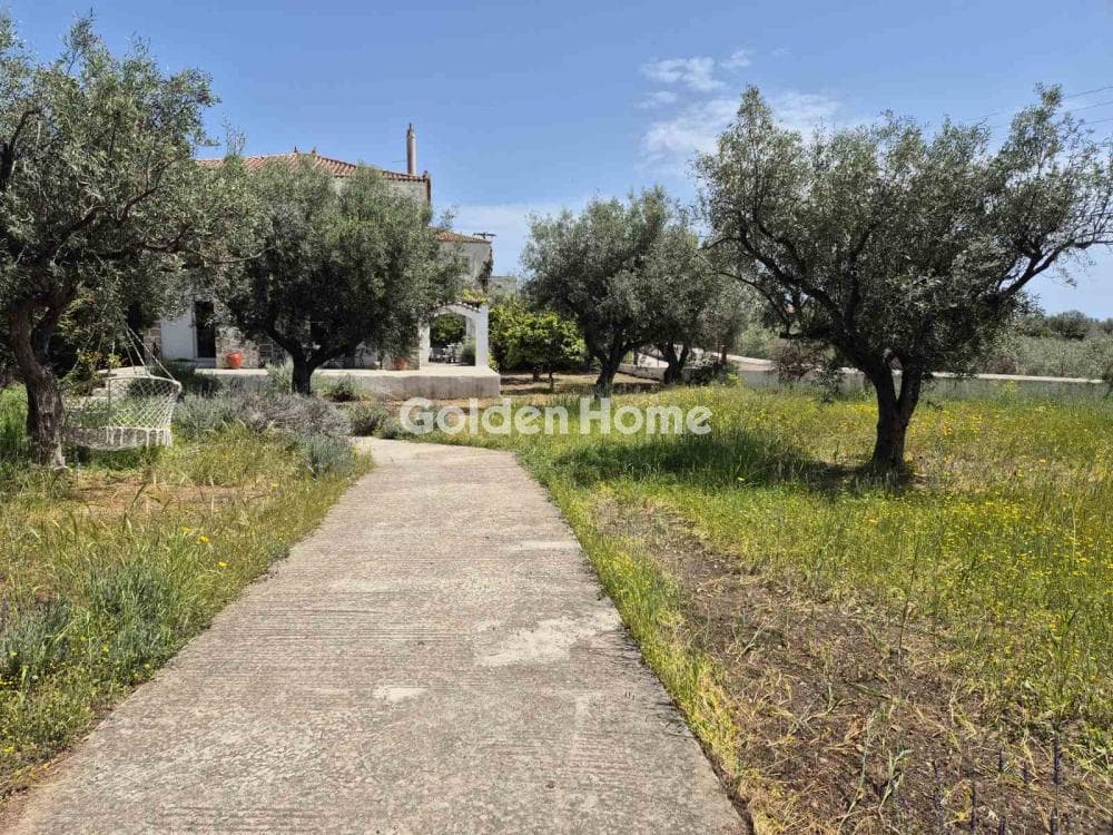 Building Plot in Moni Agion Panton, Spetses — Photo 4 of 27