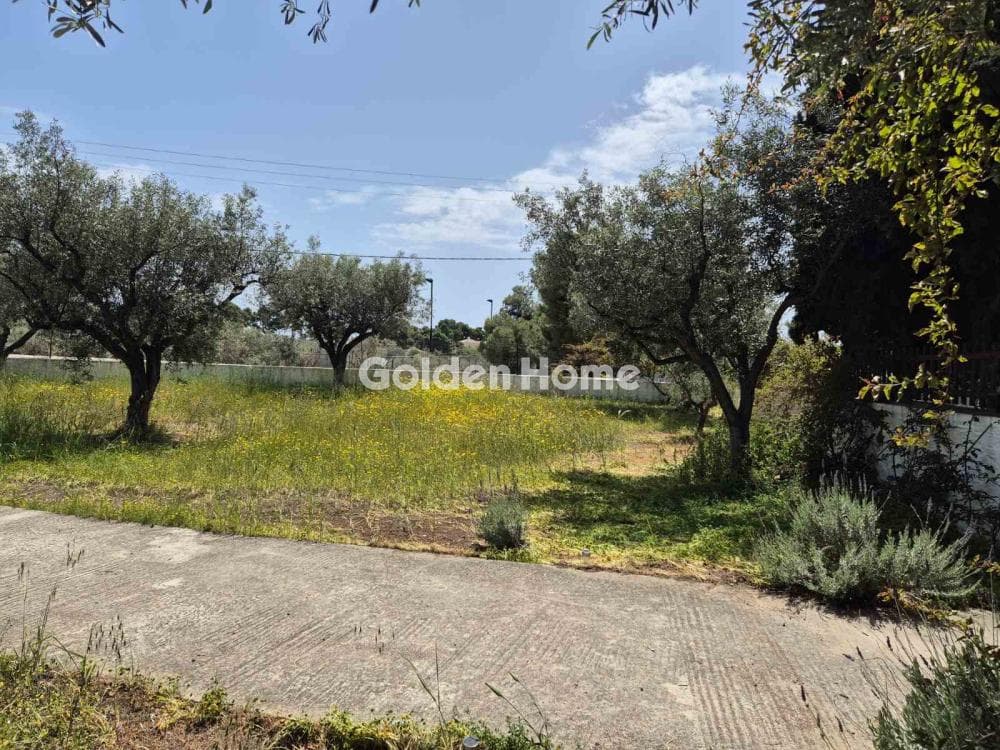 Building Plot in Moni Agion Panton, Spetses — Photo 3 of 27