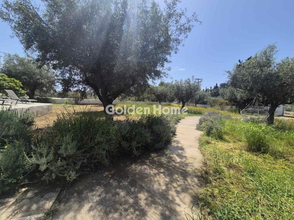 Building Plot in Moni Agion Panton, Spetses — Photo 8 of 27