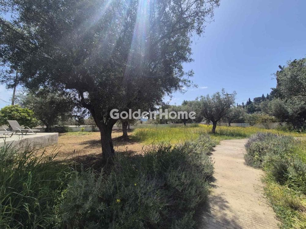 Building Plot in Moni Agion Panton, Spetses — Photo 17 of 27