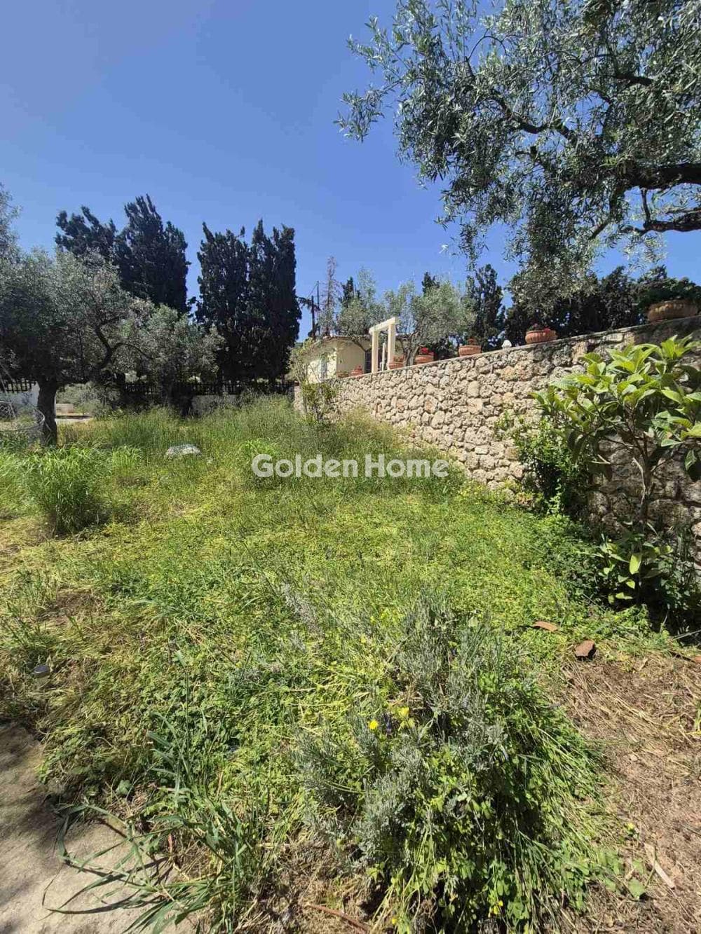 Building Plot in Moni Agion Panton, Spetses — Photo 14 of 27