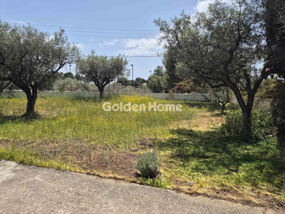 Building Plot in Moni Agion Panton, Spetses — Photo 22 of 27