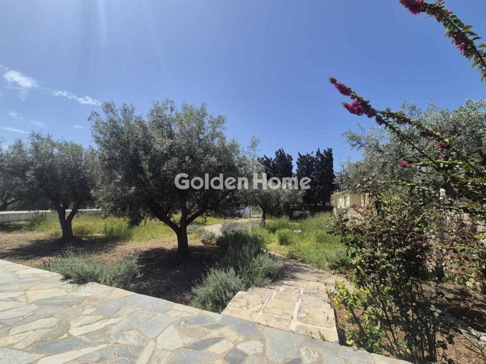 Building Plot in Moni Agion Panton, Spetses — Photo 18 of 27