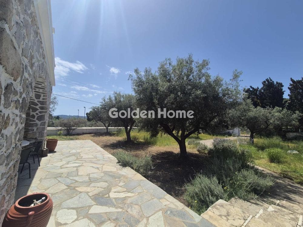 Building Plot in Moni Agion Panton, Spetses — Photo 25 of 27