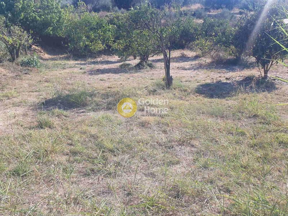 Building Plot in Stamnoi, Episkopi — Photo 3 of 4