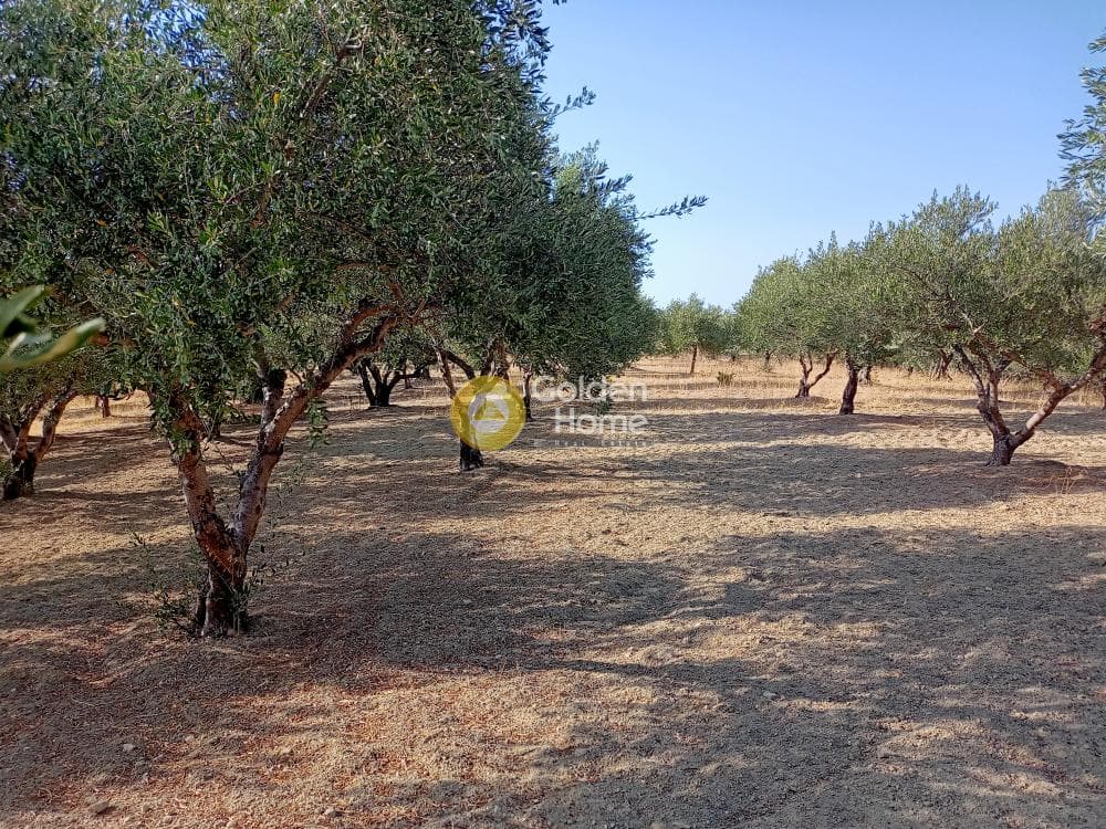 Αγροτεμάχιο στην Μελέσες, Αρχάνες