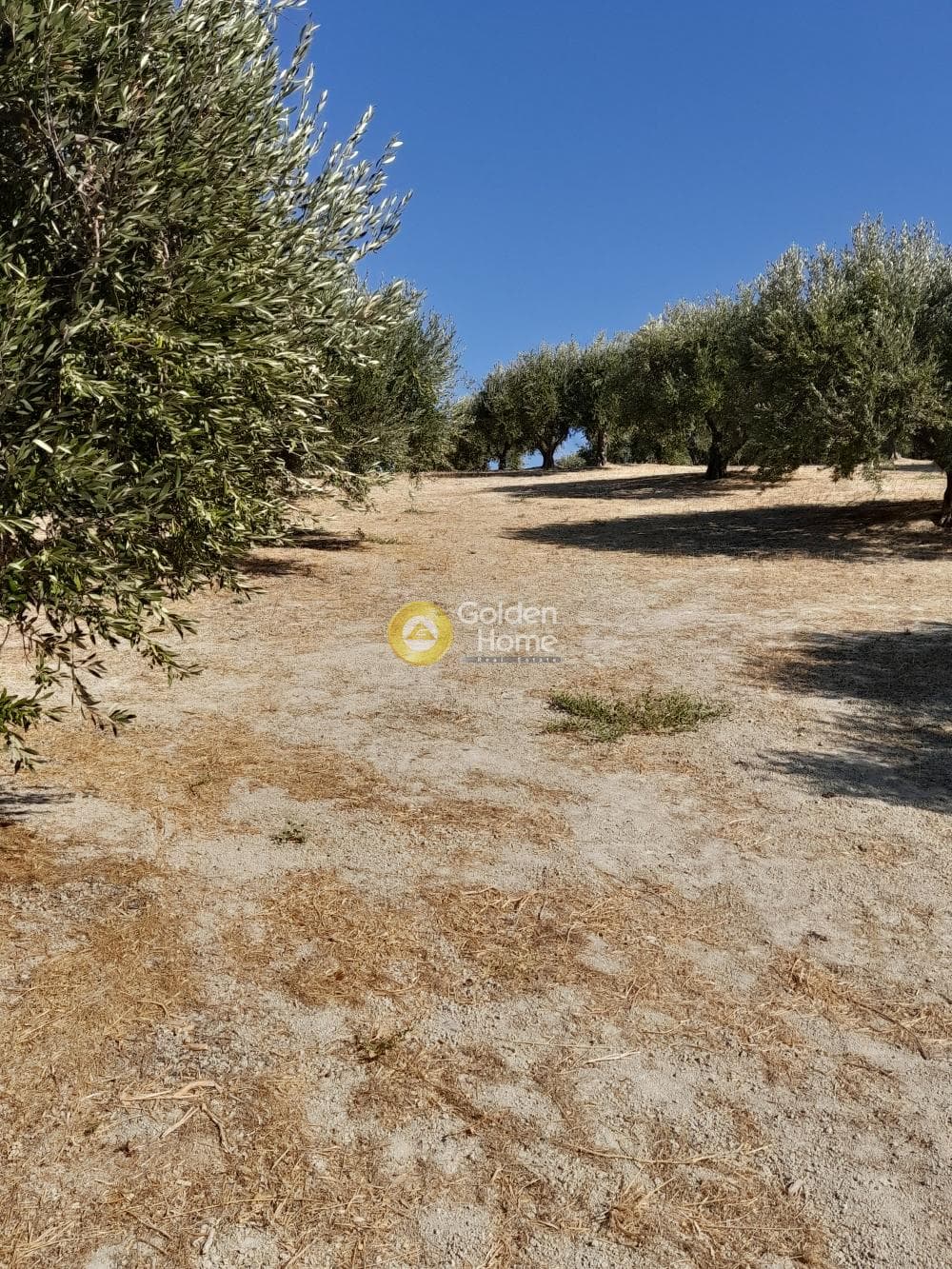 Building Plot in Chrisostomos, Heraclion Cretes — Photo 2 of 21